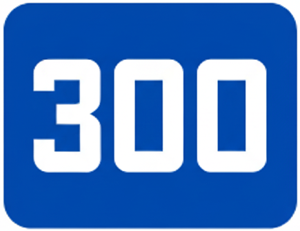 300 Floors Club icon